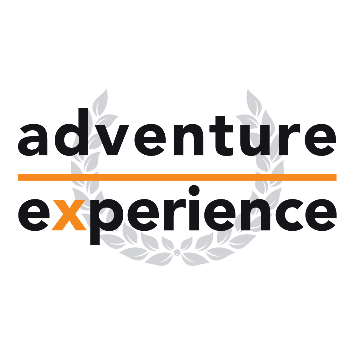 Adventure Experience Logo